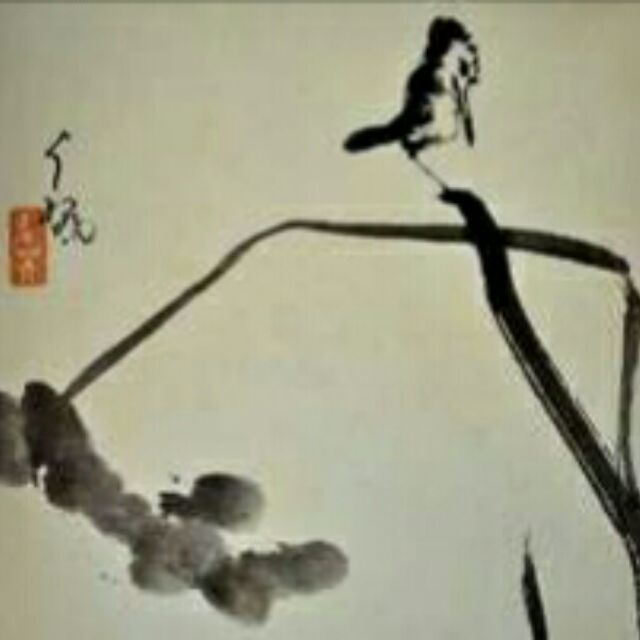 天涯明月