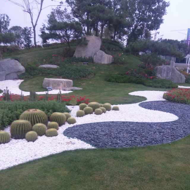 回忆过去