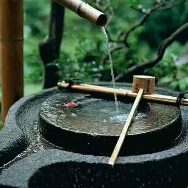 猪头
