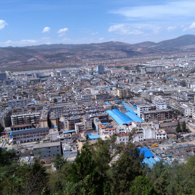 泽龙