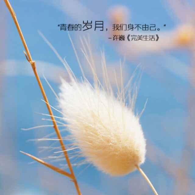 平凡