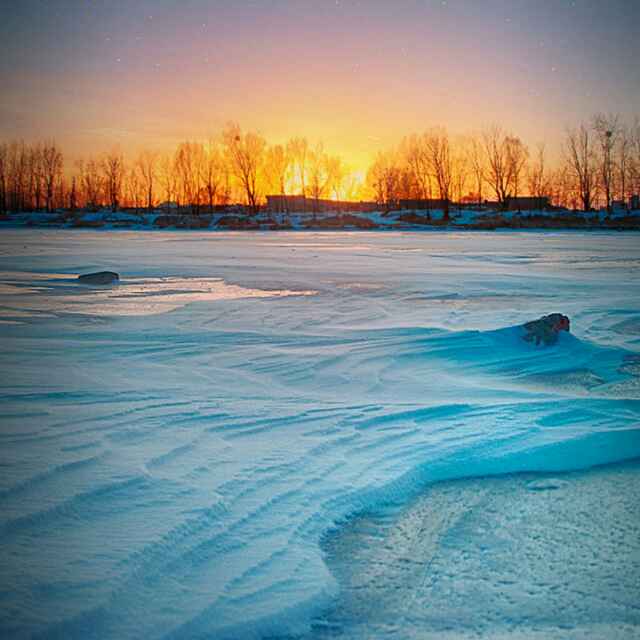 雪海松林