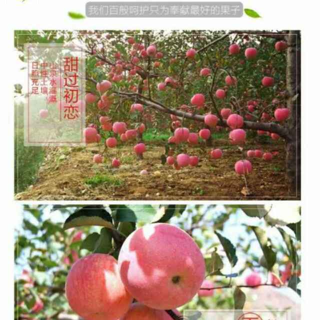 (生态农场)