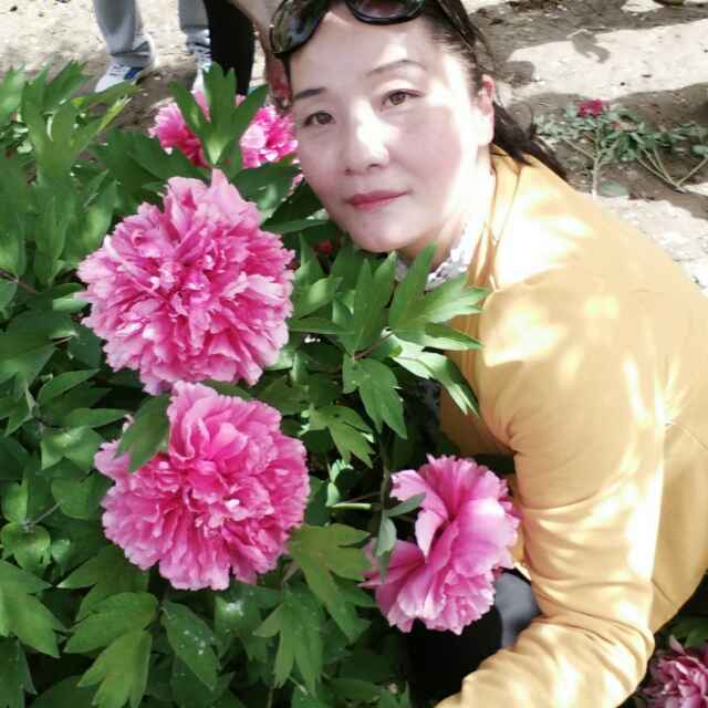 福特，最愛688