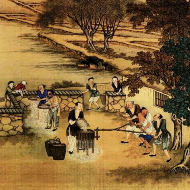 流动性部落