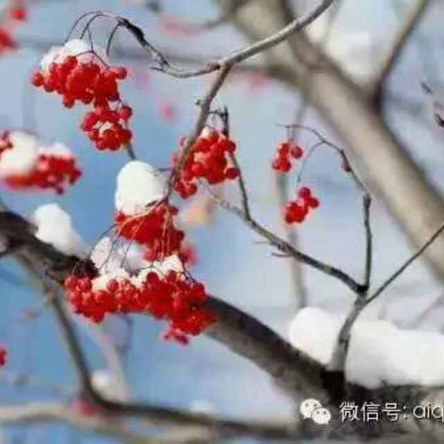 英英小店