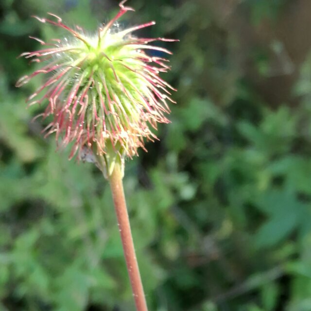 尔雅