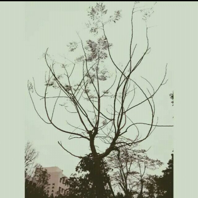  宠着小慧