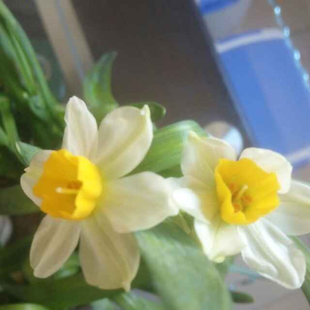 俗世人生请点击显示全文