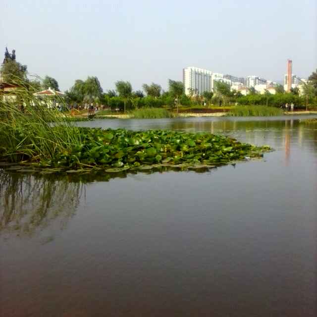 康康