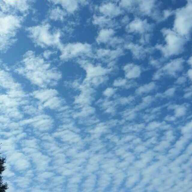 我心飞扬