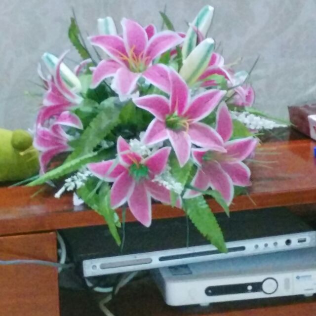 lk1338738339清