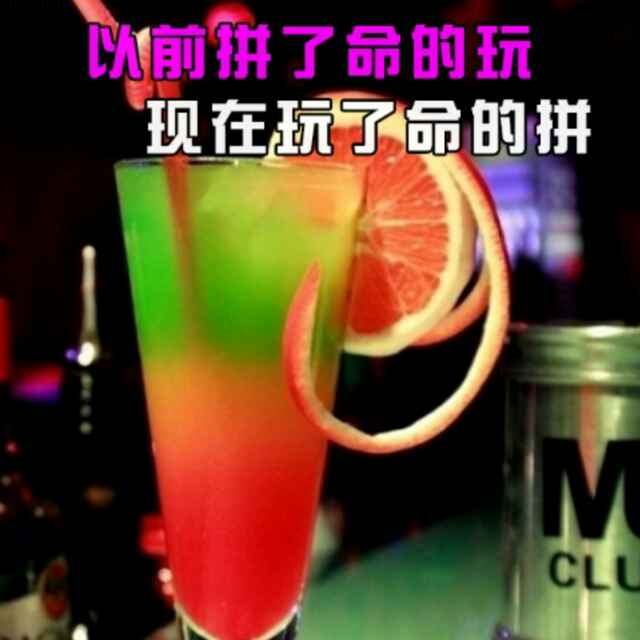 马的诱惑love猴