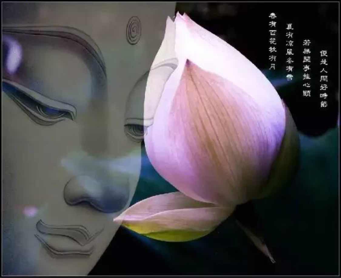 书友20160715223435