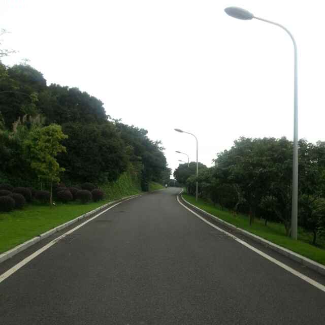 sjs