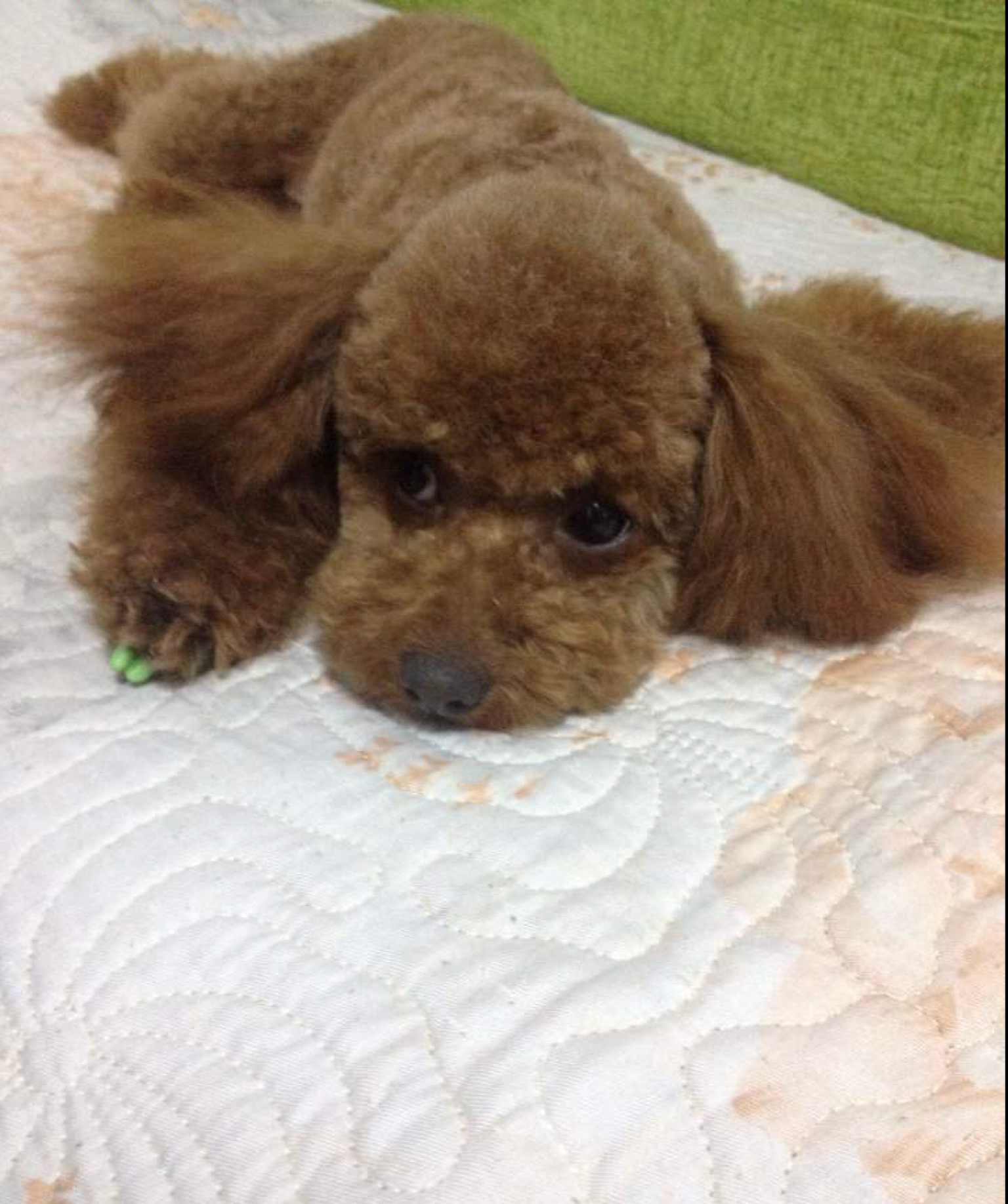 点点妈