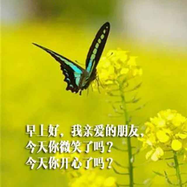 蓉