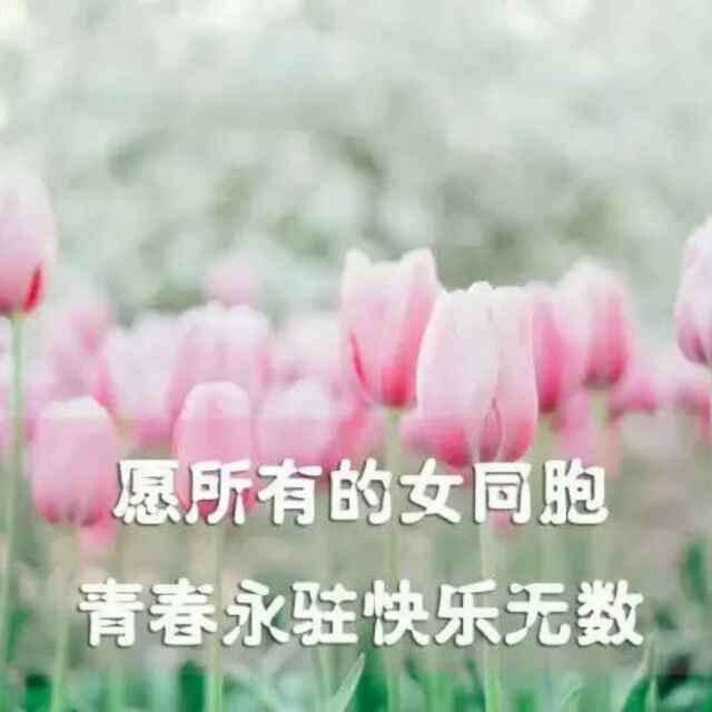 朱晓媚