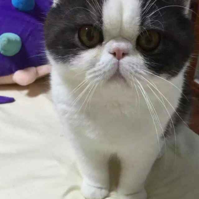 丁丁