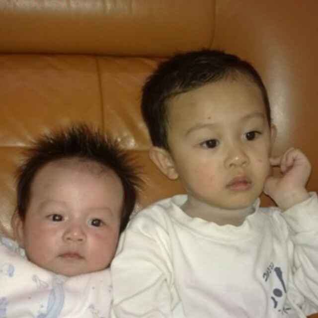 双子座