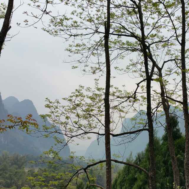 讲故事