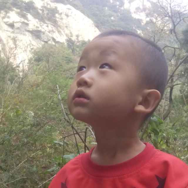 小陈18631989533