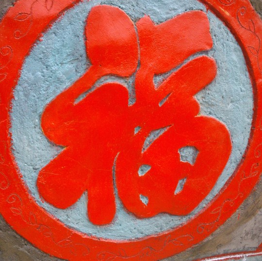 富贵竹