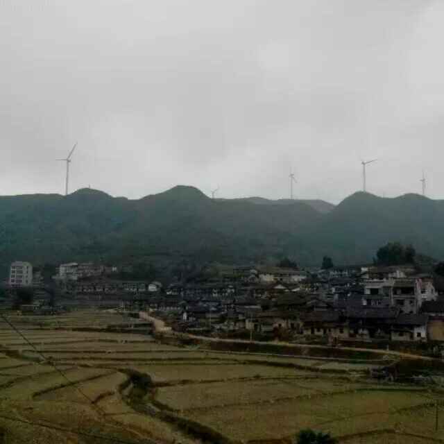严