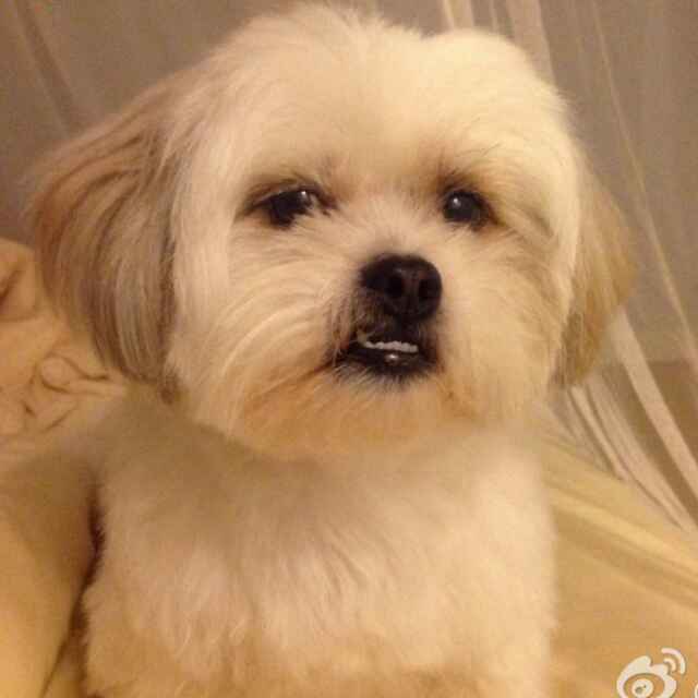 Kevinliu