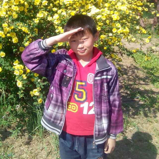 你们是吧 王勇