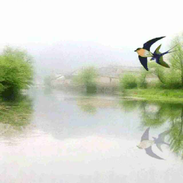 一丹