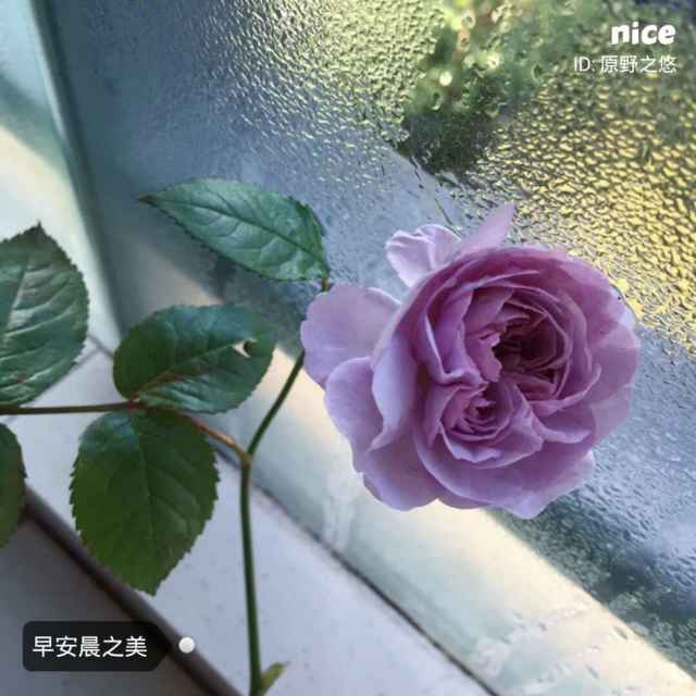唯美
