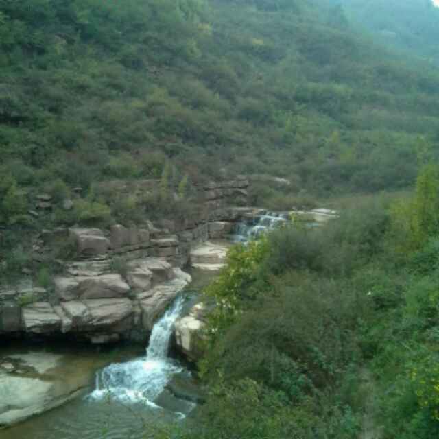 刘洪涛