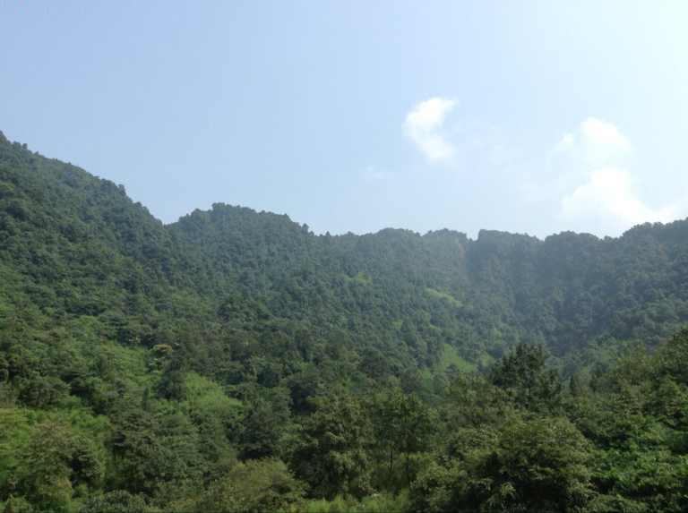 此号已废