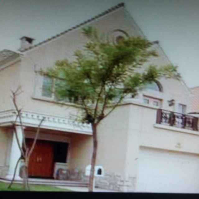 侠骨柔情