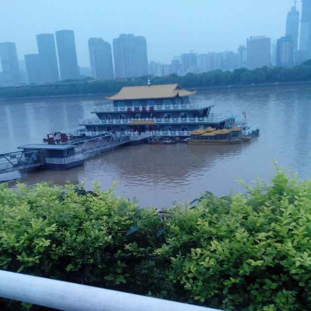 崔俊莲