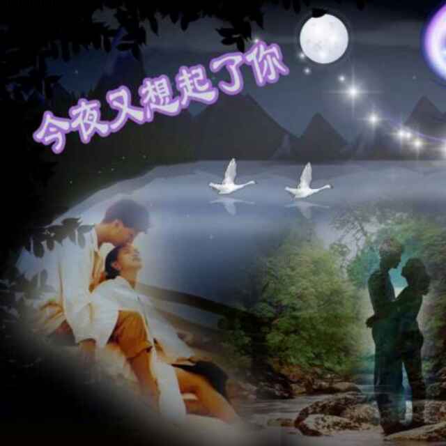 常青树