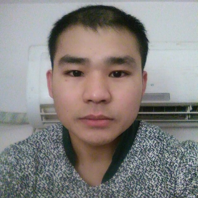 进武