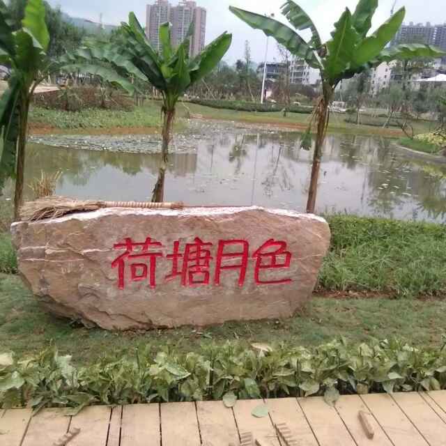 曲终人散時，独赏荷塘月