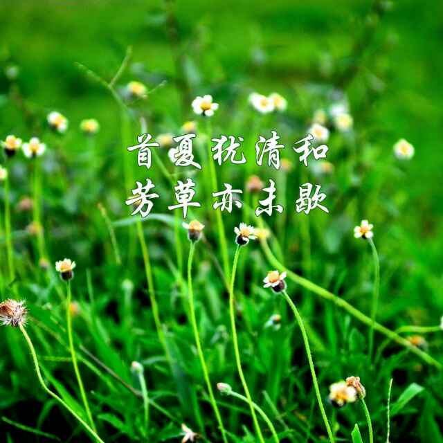 众乐*甜+咸