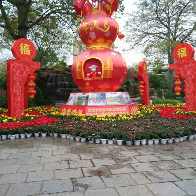 萝蔓花开