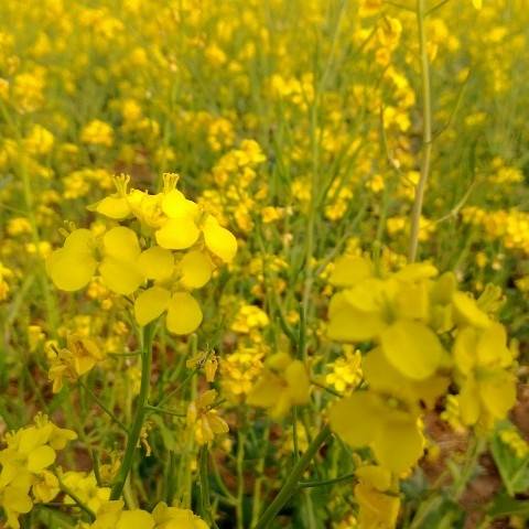 书友20170305174431