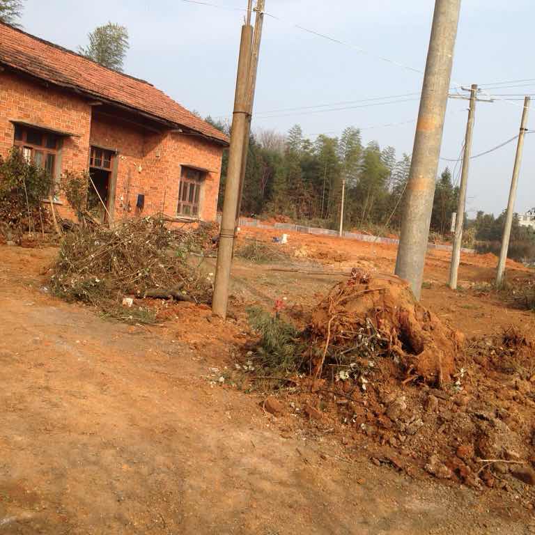 金德管业 陈淑芬