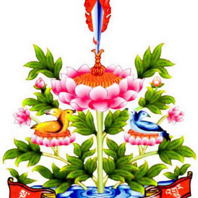 善慧