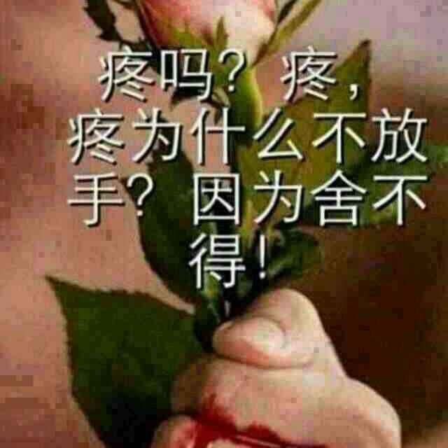 书友20161005012906