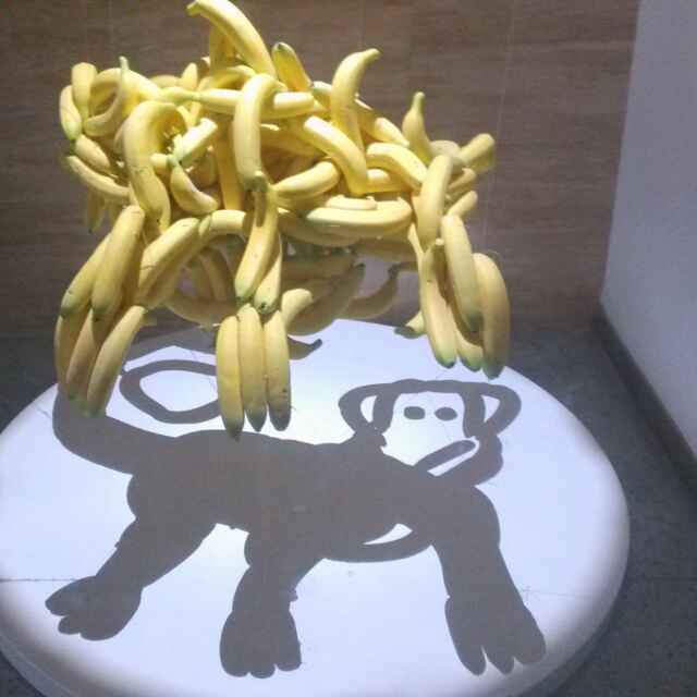 wzzf的头像