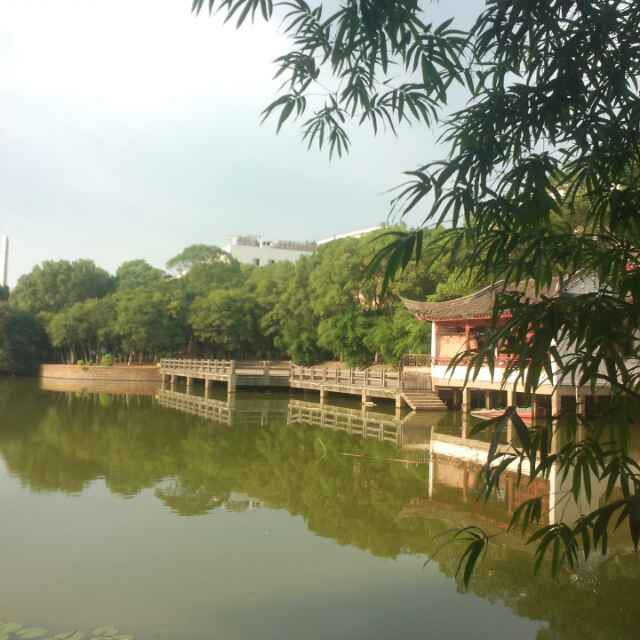 水若的头像