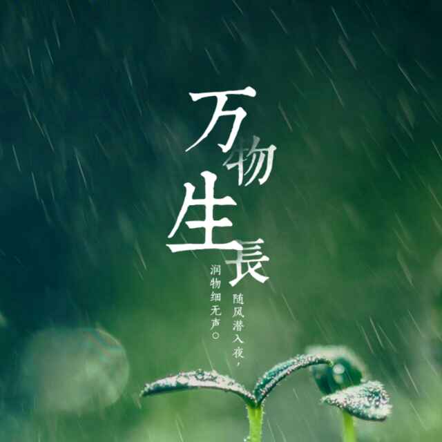 书友783193156的头像