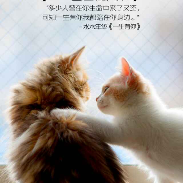 个性的头像