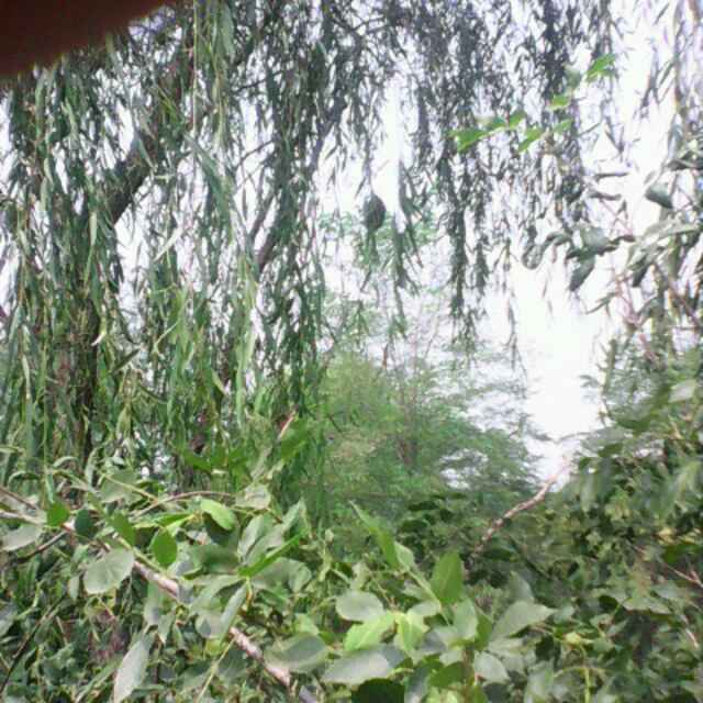 生活就是酸甜苦辣咸